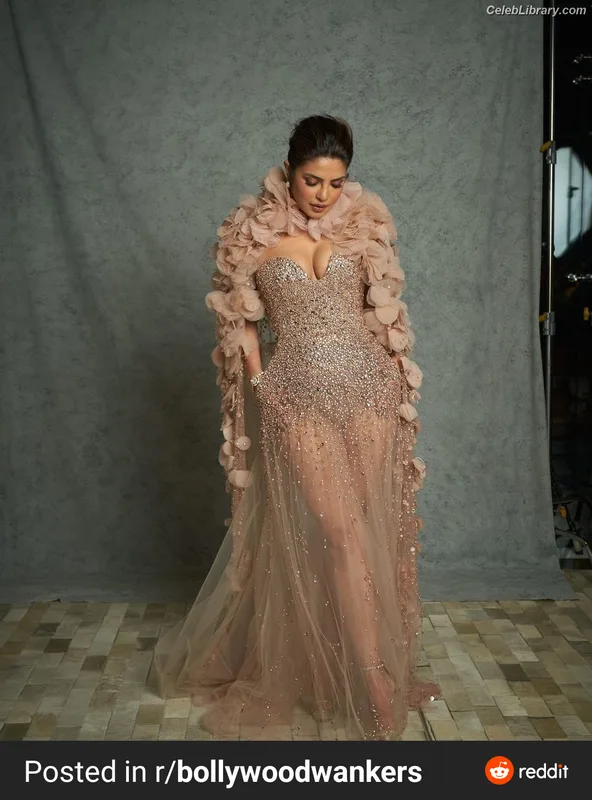 Priyanka Chopra photo 5 of 759