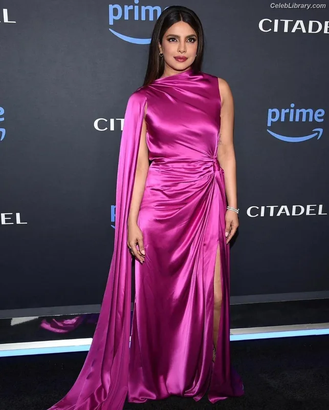 Priyanka Chopra photo 15 of 759