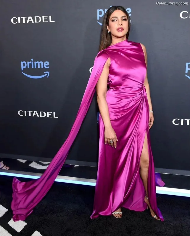 Priyanka Chopra photo 17 of 759