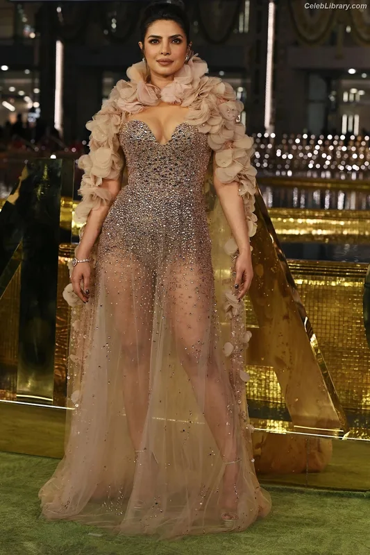 Priyanka Chopra photo 15 of 759