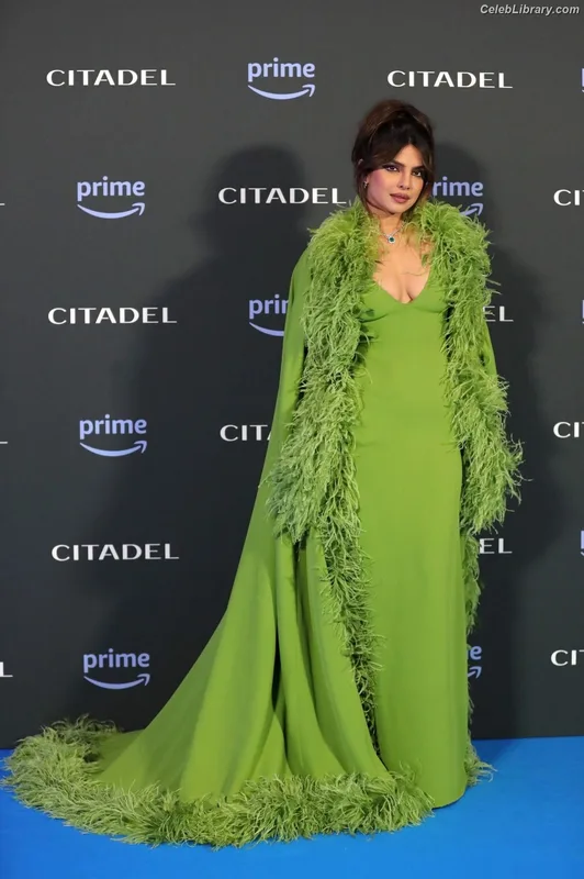 Priyanka Chopra photo 16 of 759