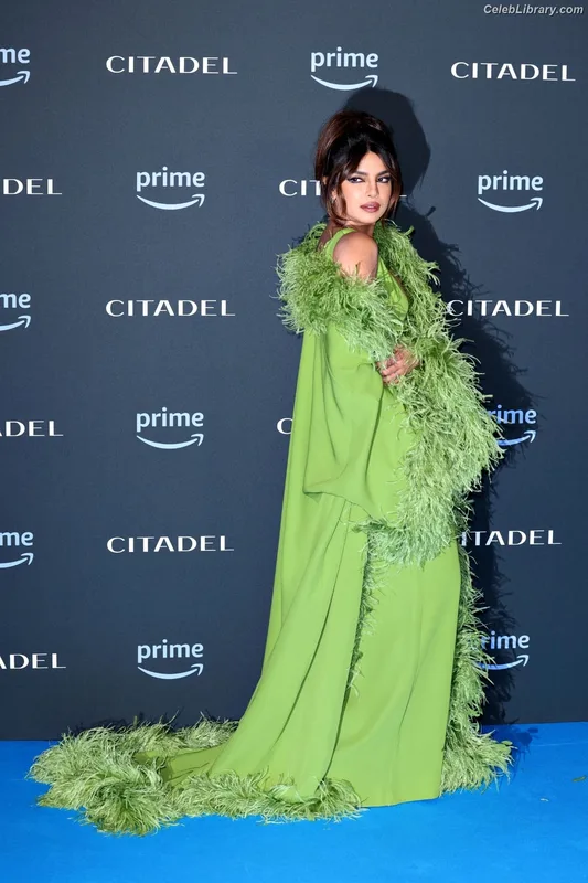 Priyanka Chopra photo 17 of 759