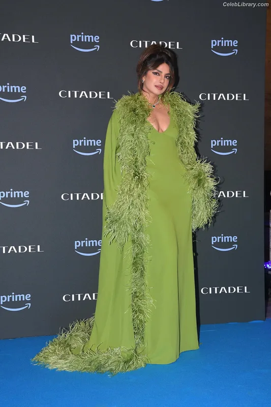 Priyanka Chopra photo 21 of 759