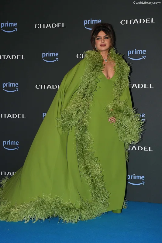 Priyanka Chopra photo 22 of 759