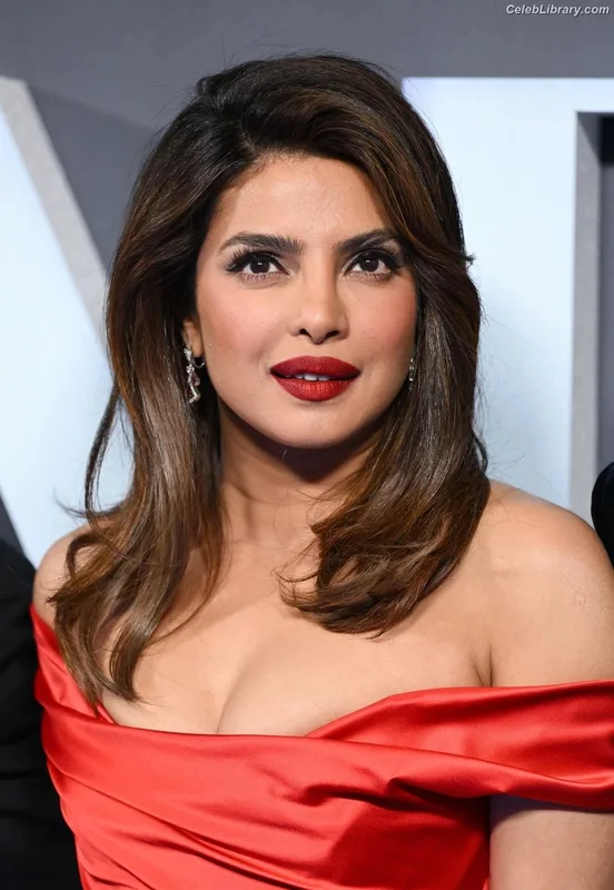 Priyanka Chopra photo 14 of 759