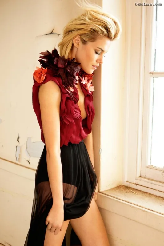 Rachael Taylor photo 4 of 53