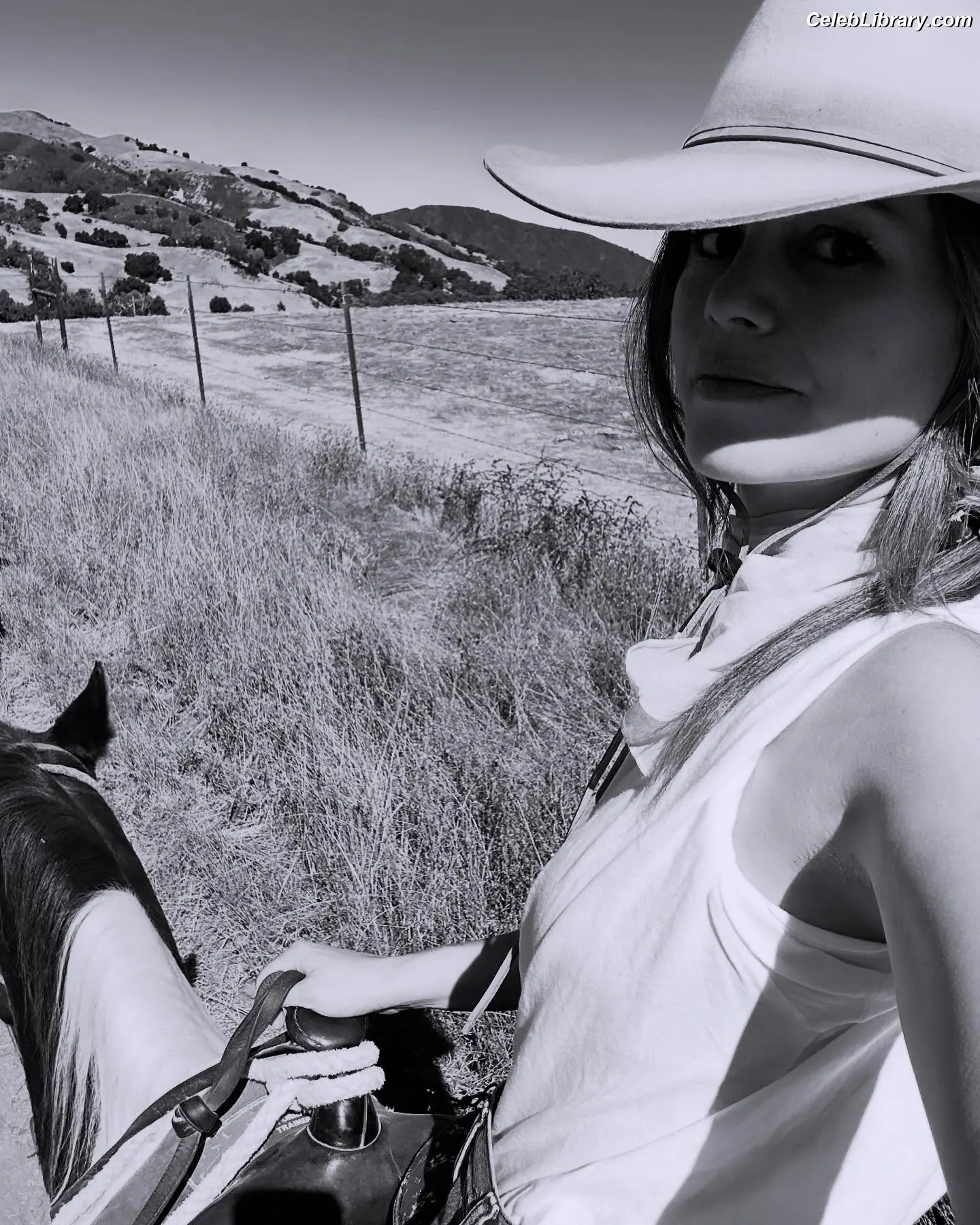 Rachel Bilson photo 21 of 403