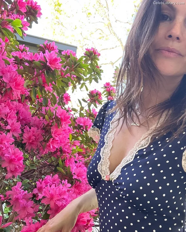 Rachel Bilson photo 19 of 404