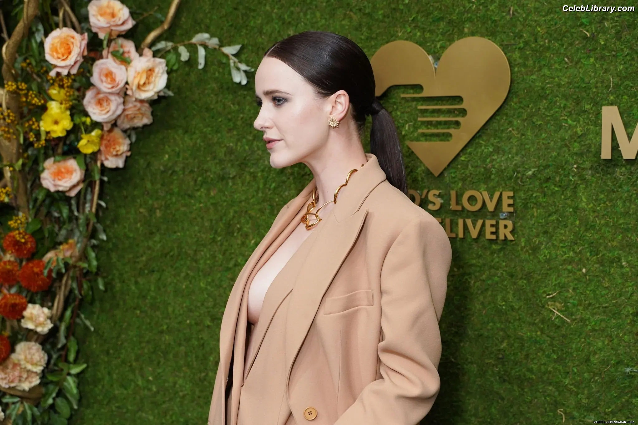 Rachel Brosnahan photo 1 of 1305