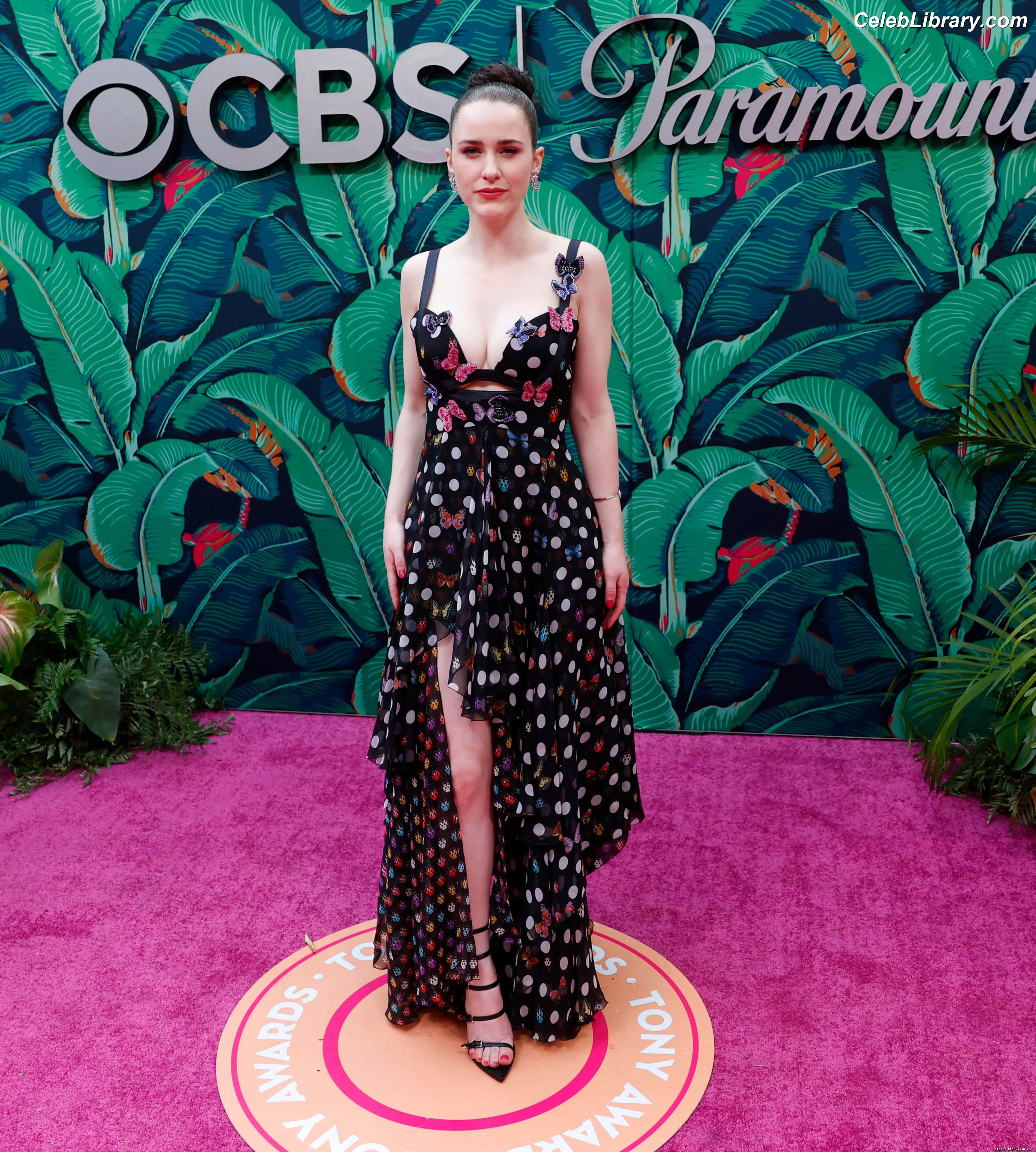 Rachel Brosnahan photo 5 of 1305
