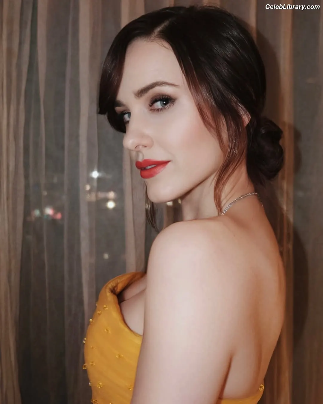 Rachel Brosnahan photo 1 of 1305