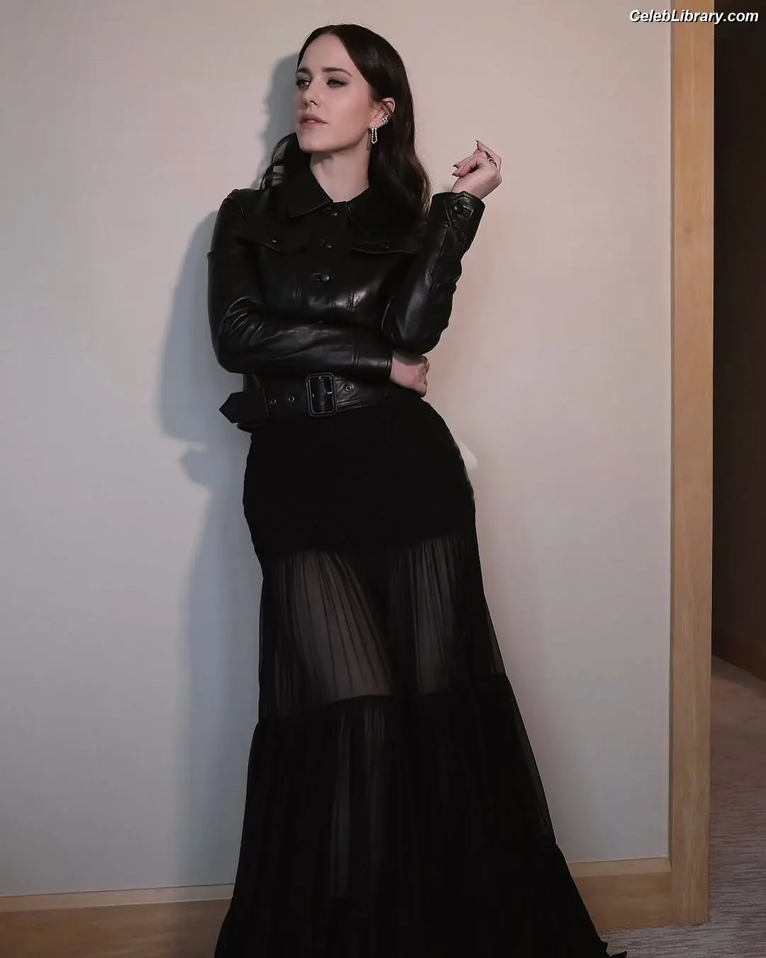 Rachel Brosnahan photo 20 of 1305