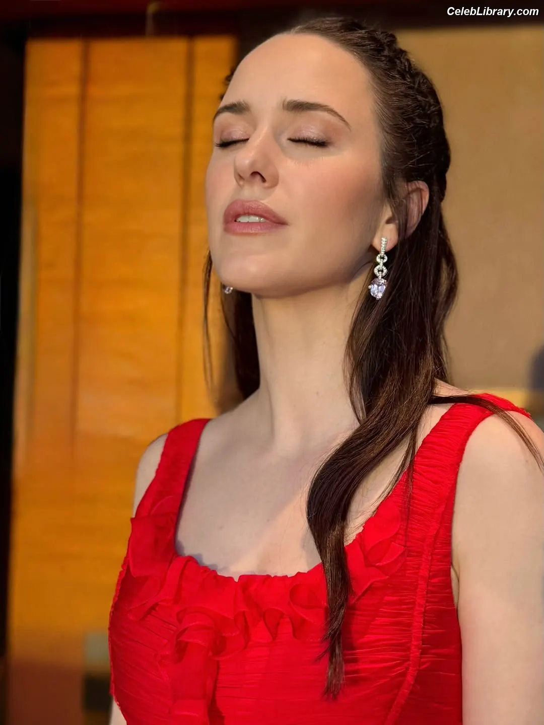Rachel Brosnahan photo 4 of 1305