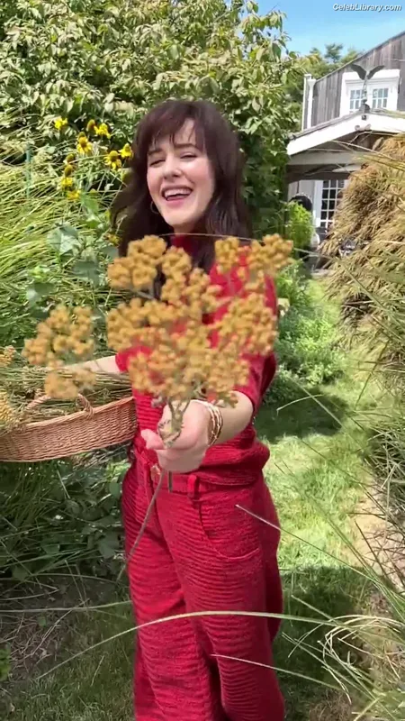 Rachel Brosnahan photo 24 of 1301