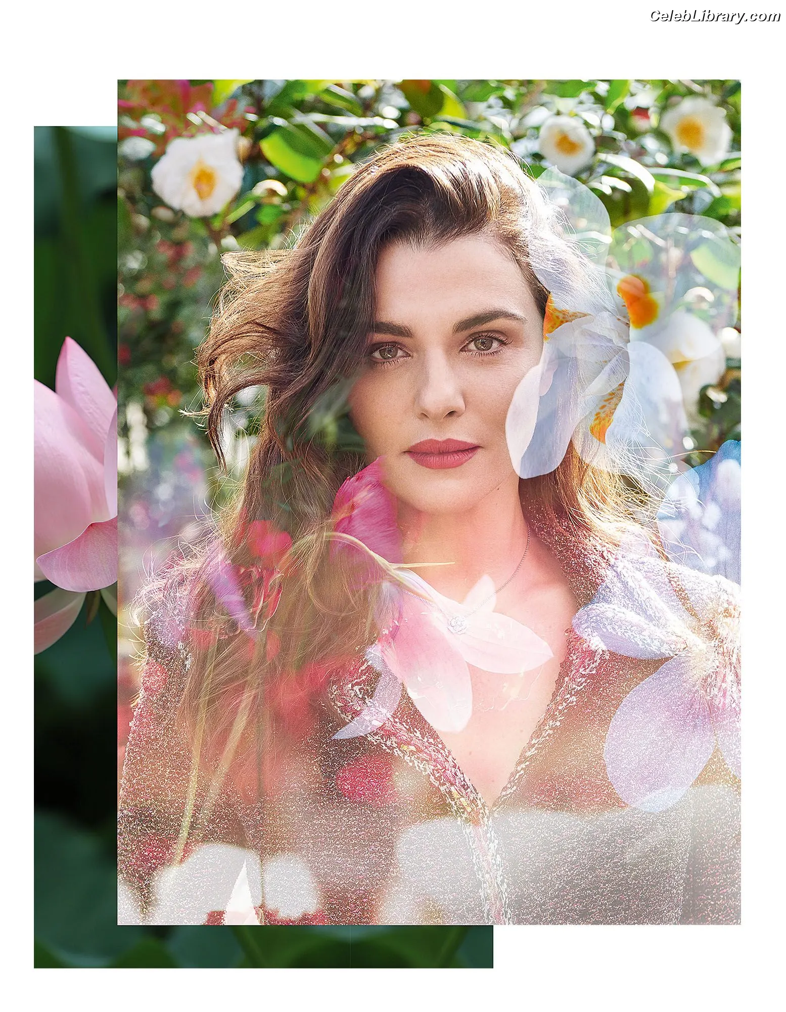 Rachel Weisz photo 19 of 330