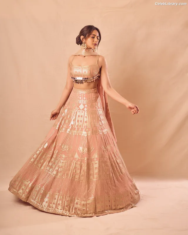 Rakul Preet photo 20 of 114