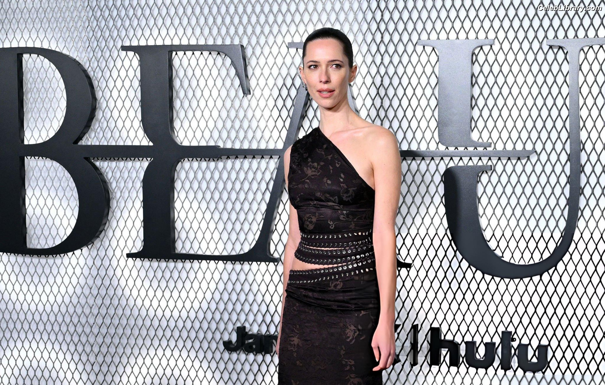 Rebecca Hall photo 23 of 242