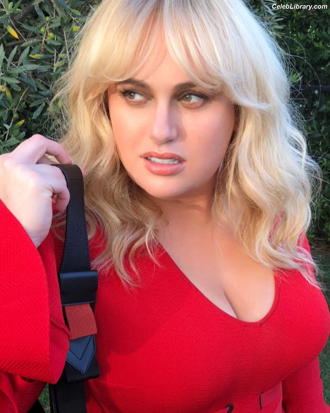 Rebel Wilson photo 5 of 122
