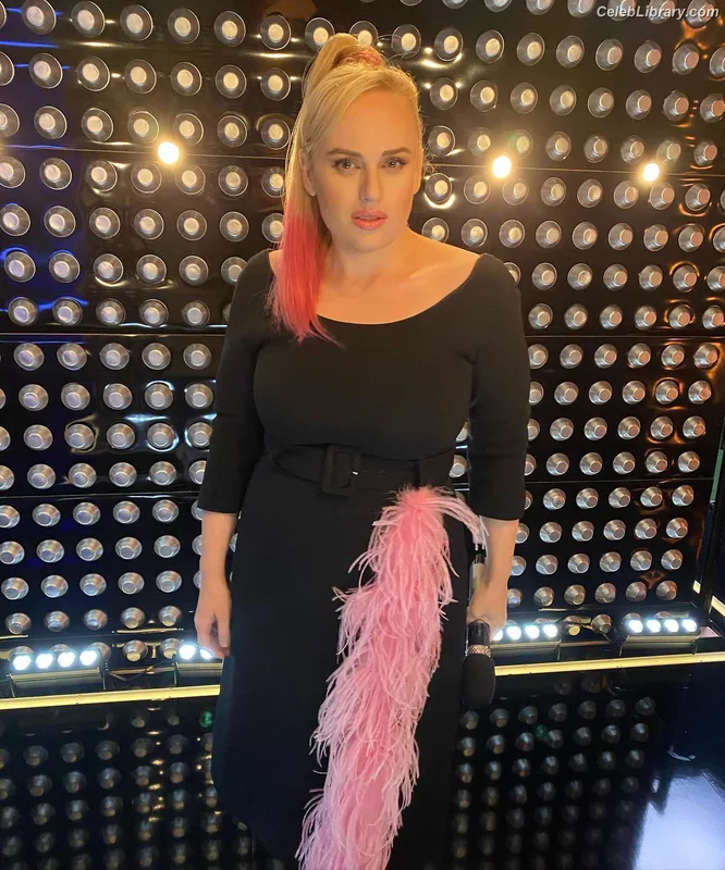 Rebel Wilson photo 13 of 123