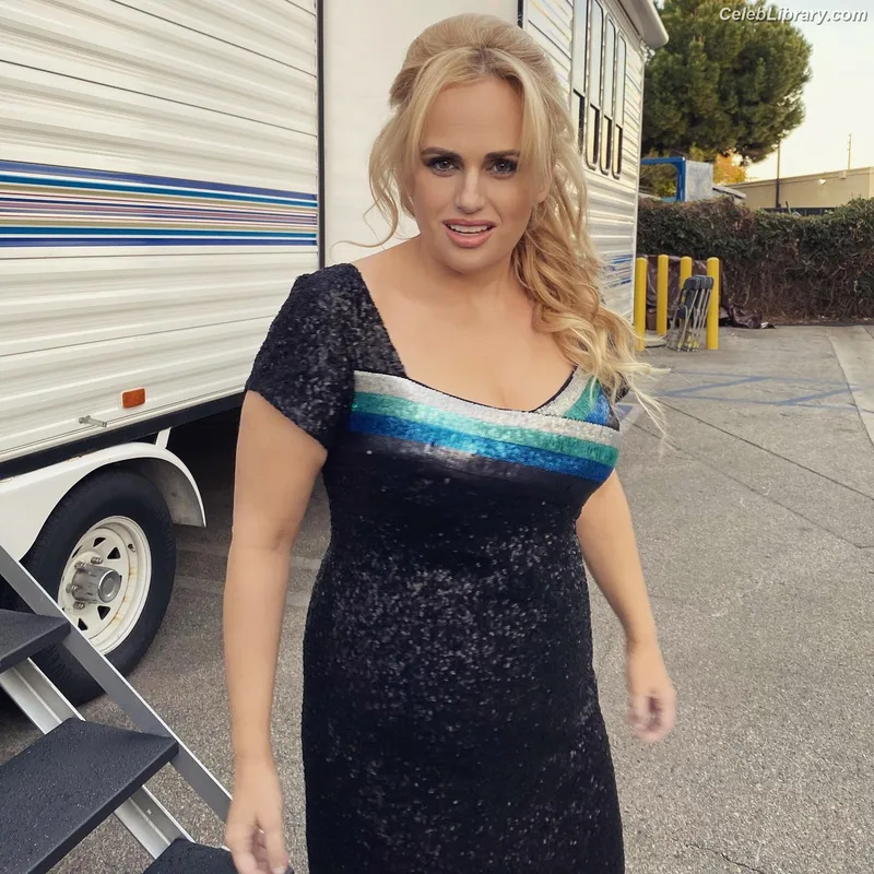 Rebel Wilson photo 18 of 123