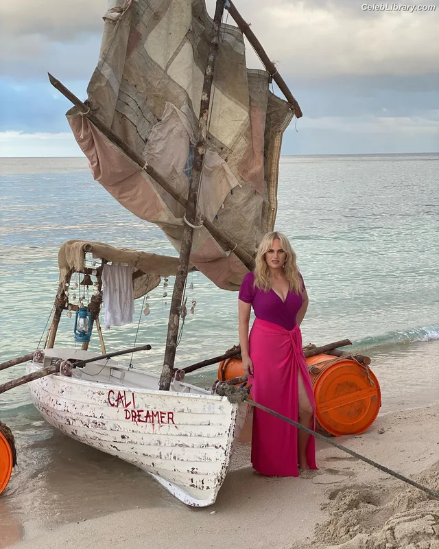 Rebel Wilson photo 7 of 123