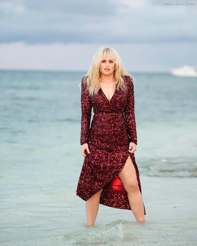 Rebel Wilson photo 10 of 123