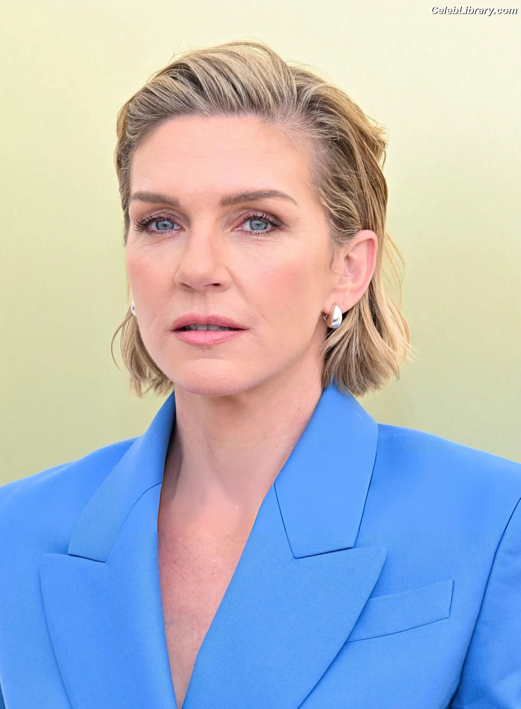 Rhea Seehorn photo 8 of 402