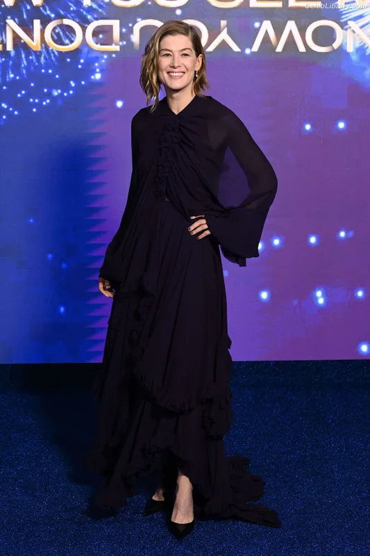 Rosamund Pike photo 24 of 177