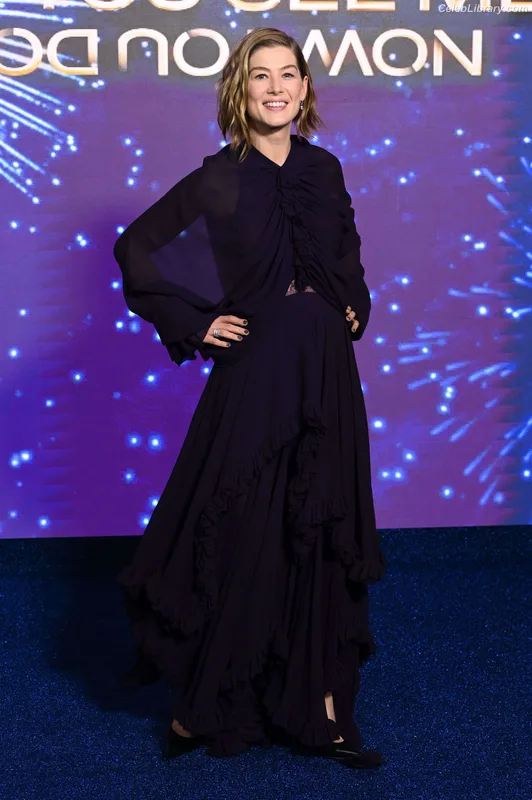 Rosamund Pike photo 9 of 177