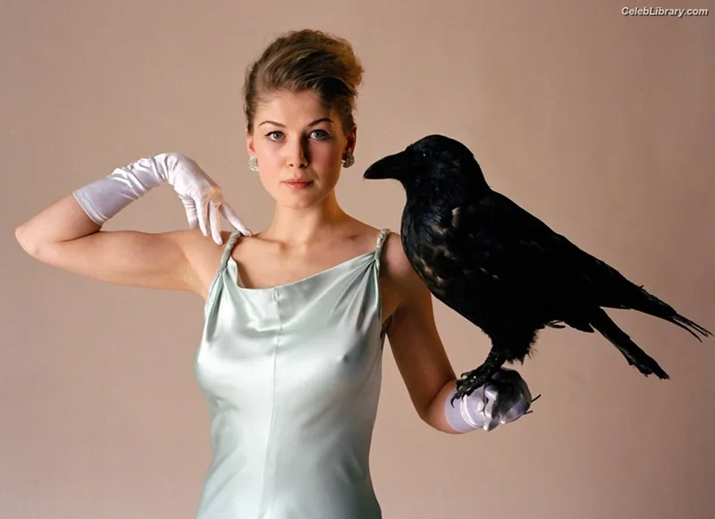 Rosamund Pike photo 15 of 177