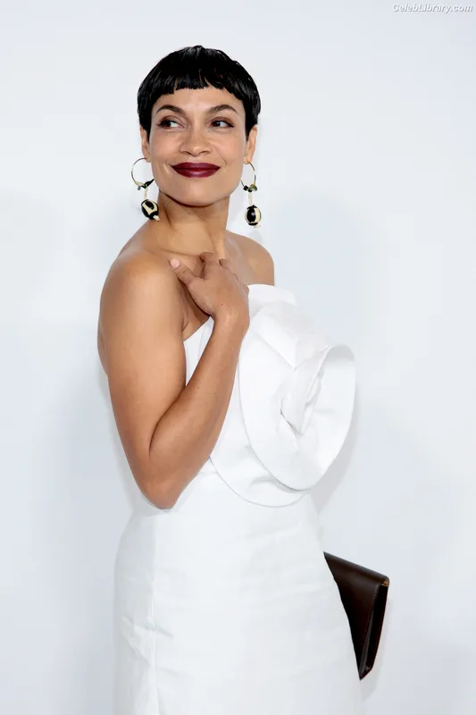 Rosario Dawson photo 4 of 133