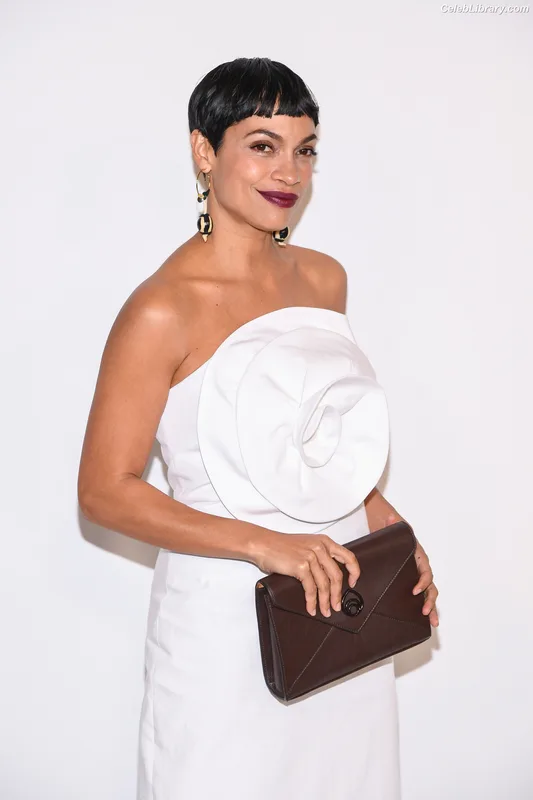 Rosario Dawson photo 23 of 133