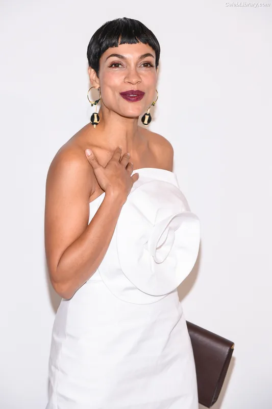 Rosario Dawson photo 24 of 133