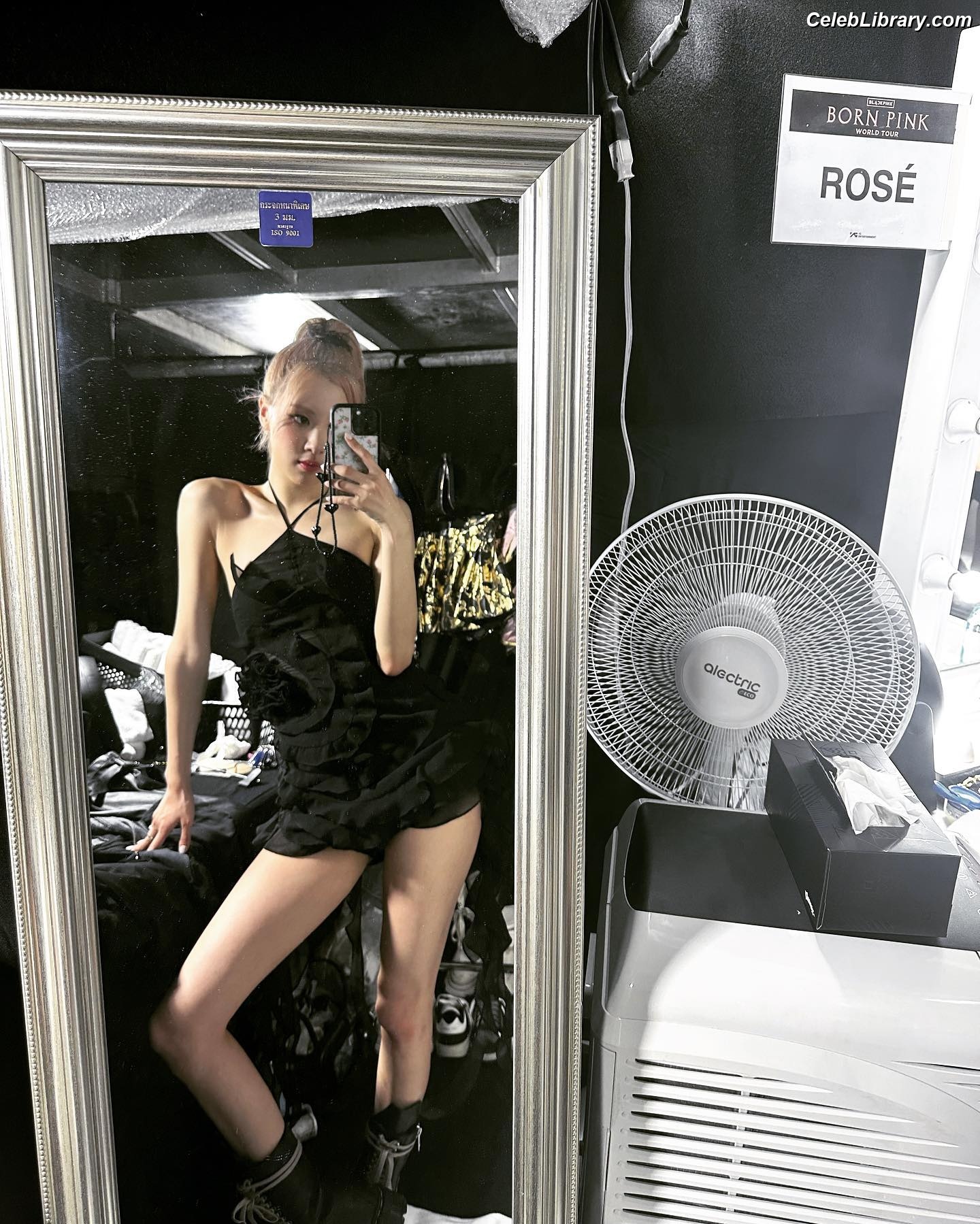 Rosé (BLACKPINK) photo 3 of 4338