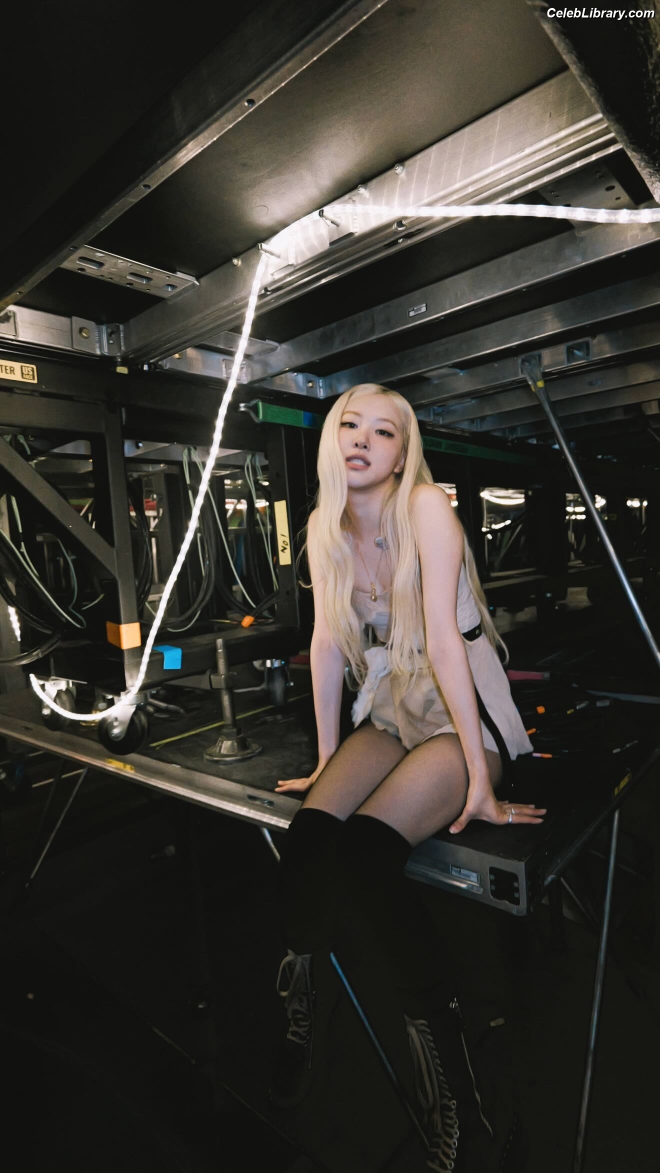 Rosé (BLACKPINK) photo 14 of 4338