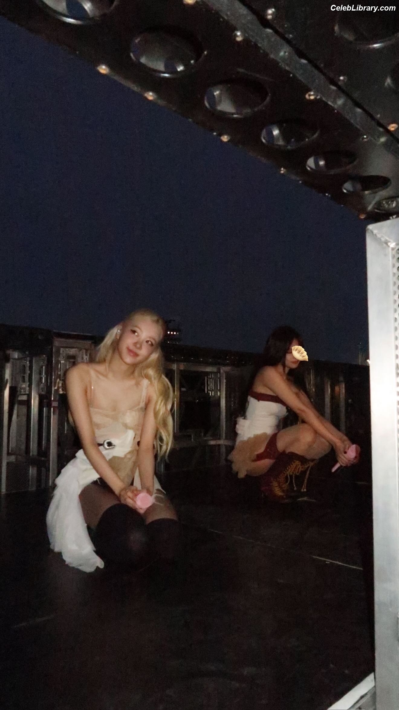 Rosé (BLACKPINK) photo 2 of 4338