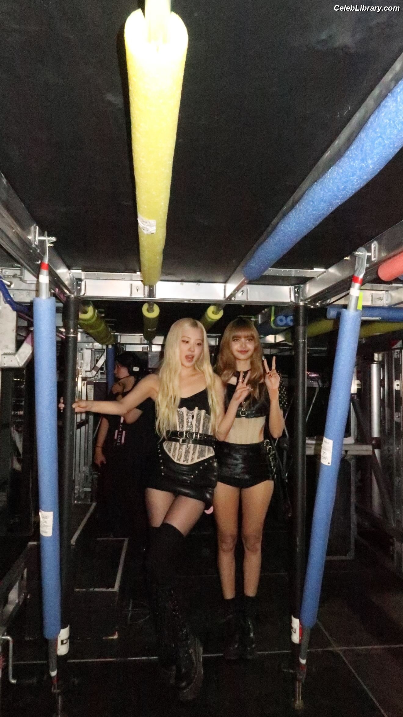 Rosé (BLACKPINK) photo 7 of 4338