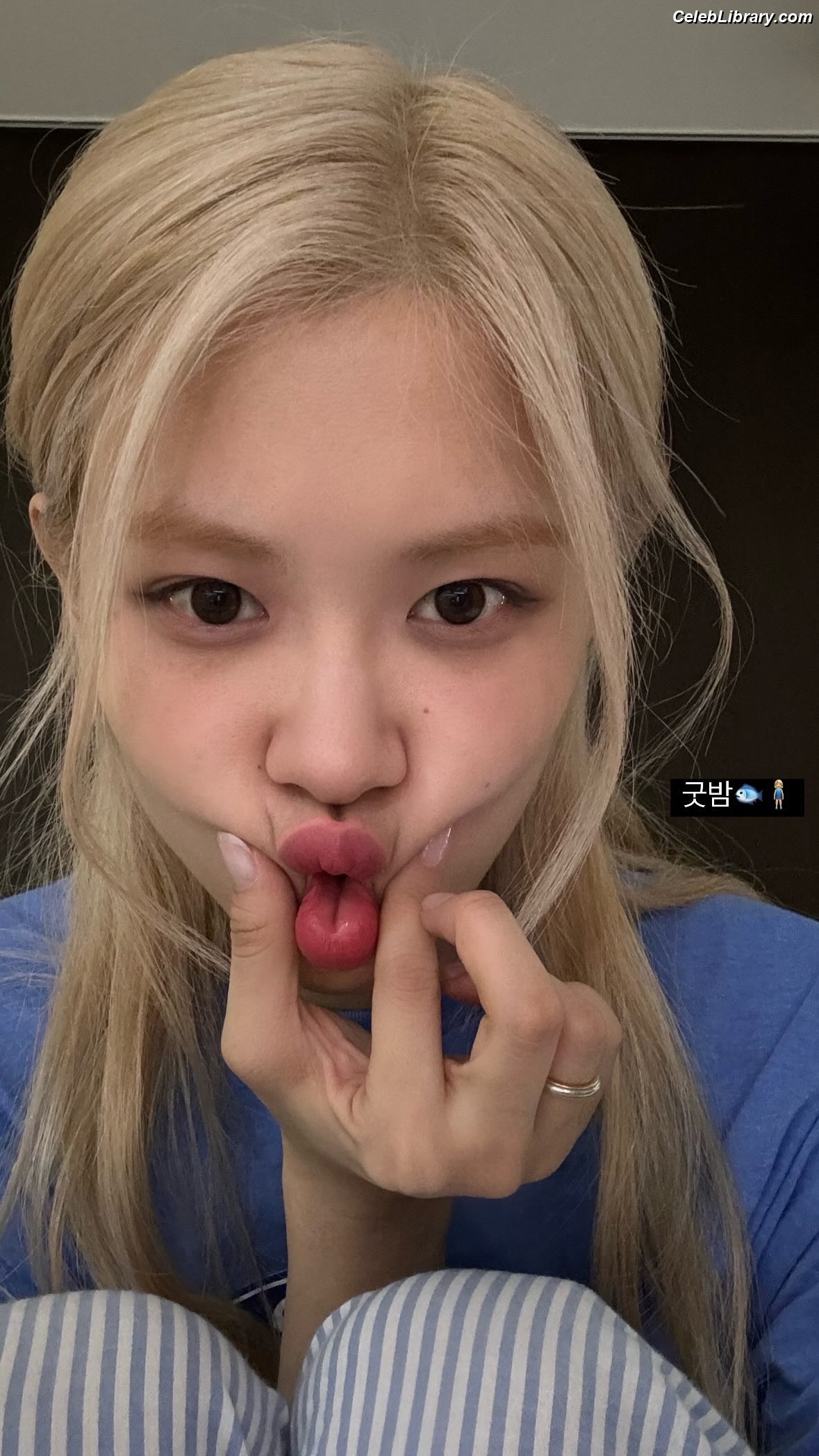 Rosé (BLACKPINK) photo 15 of 4338