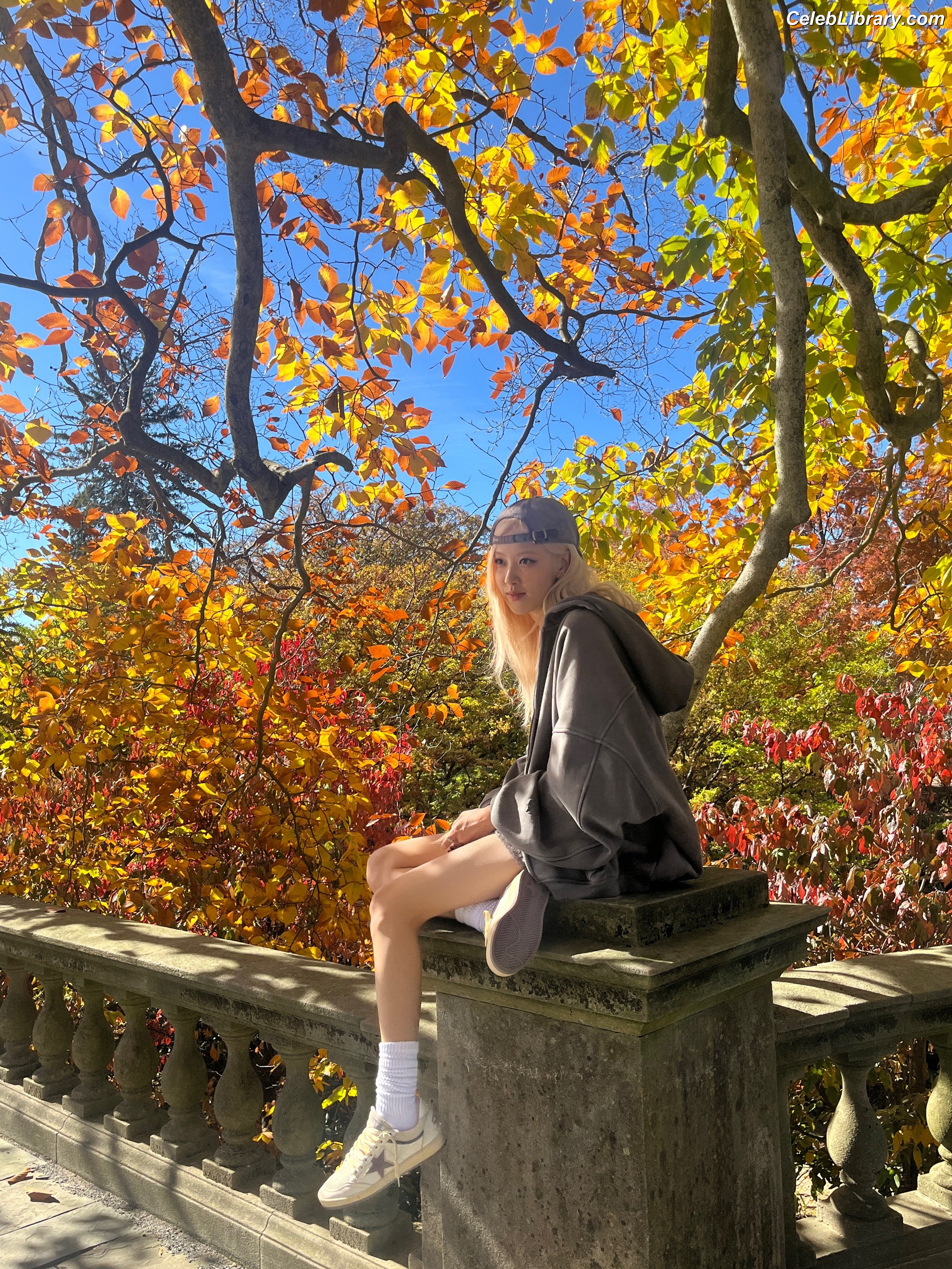 Rosé (BLACKPINK) photo 19 of 4338