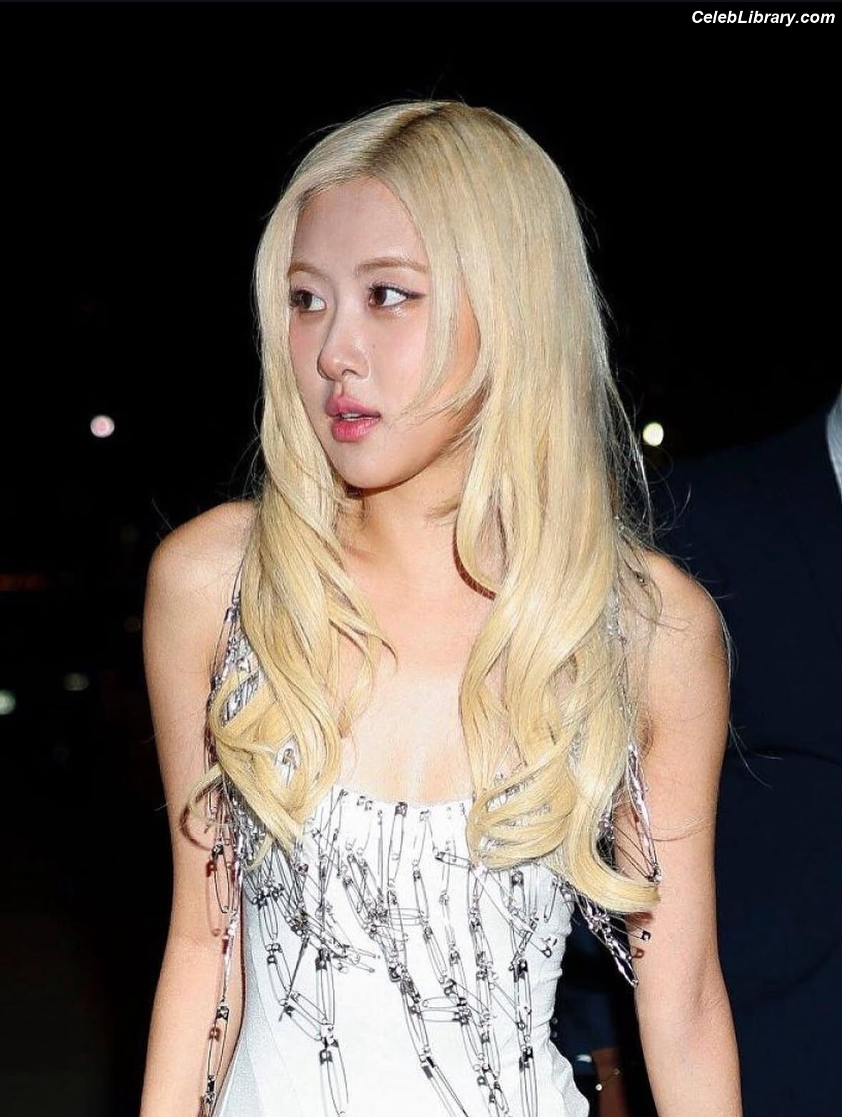 Rosé (BLACKPINK) photo 9 of 4338
