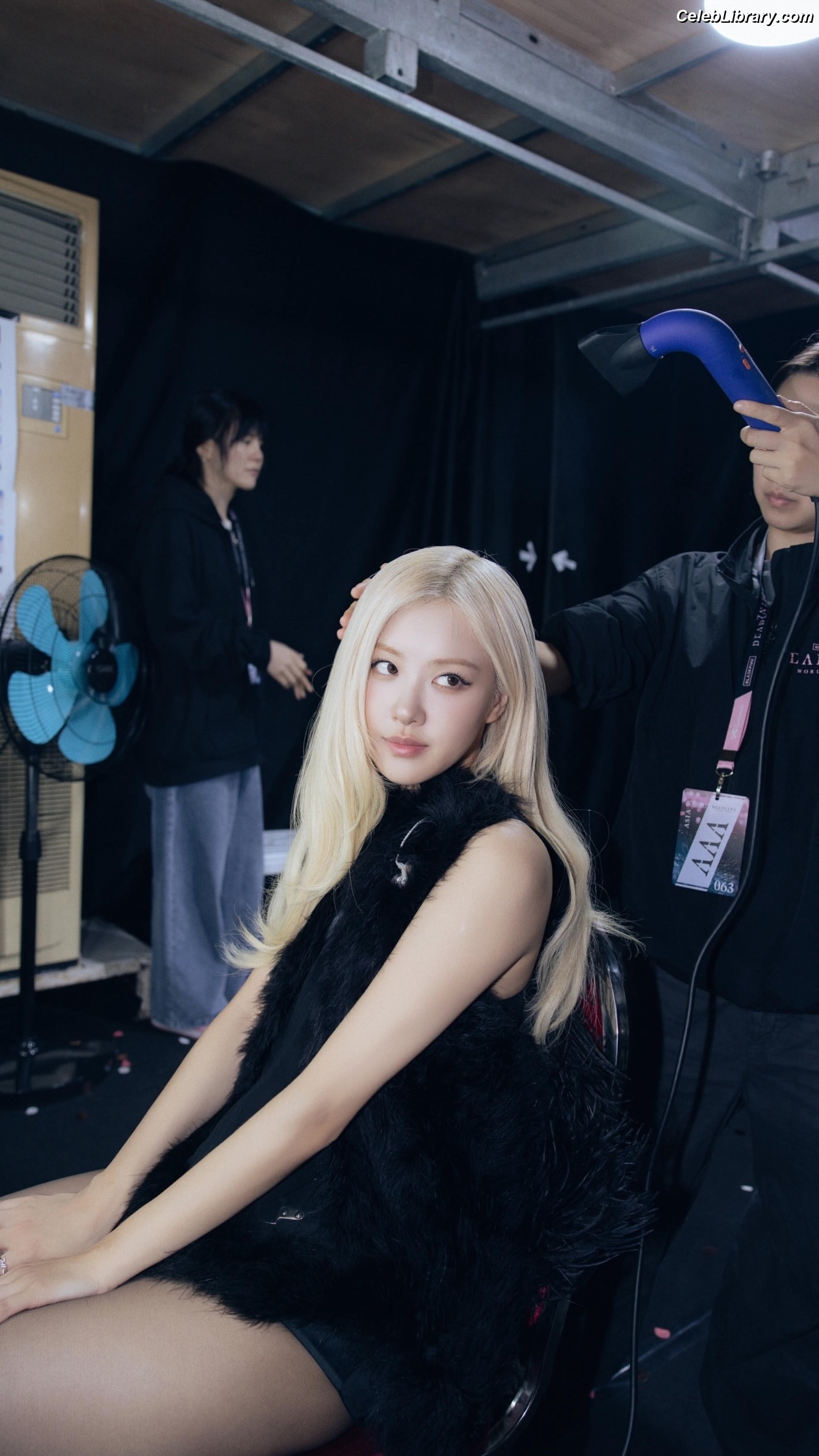 Rosé (BLACKPINK) photo 8 of 4338