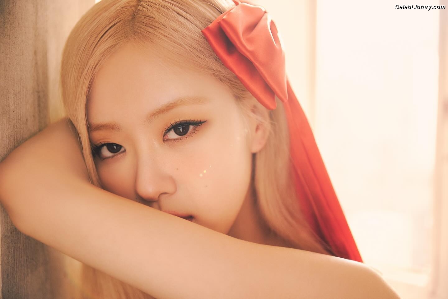Rosé (BLACKPINK) photo 18 of 4338