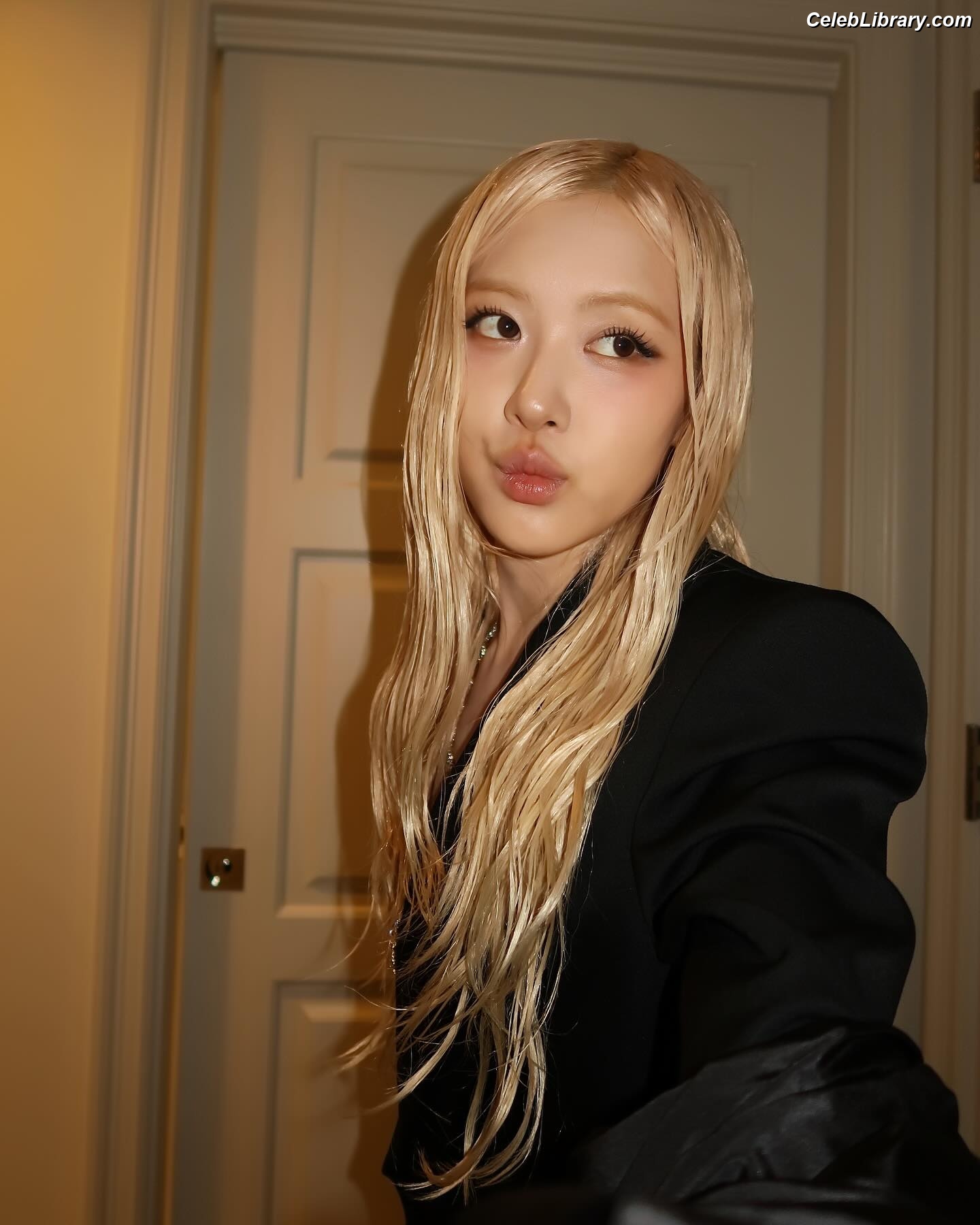 Rosé (BLACKPINK) photo 8 of 4338