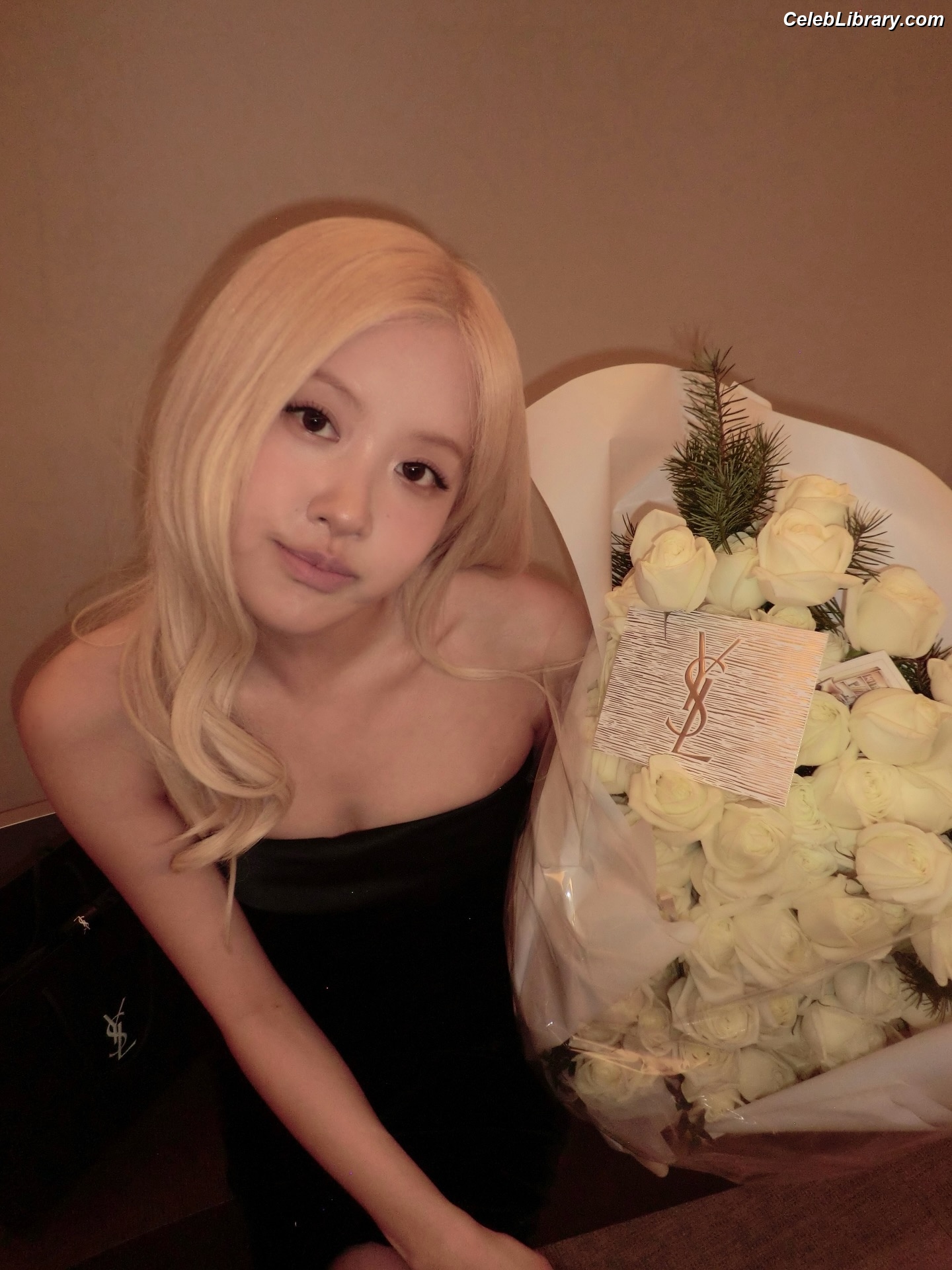 Rosé (BLACKPINK) photo 19 of 4338