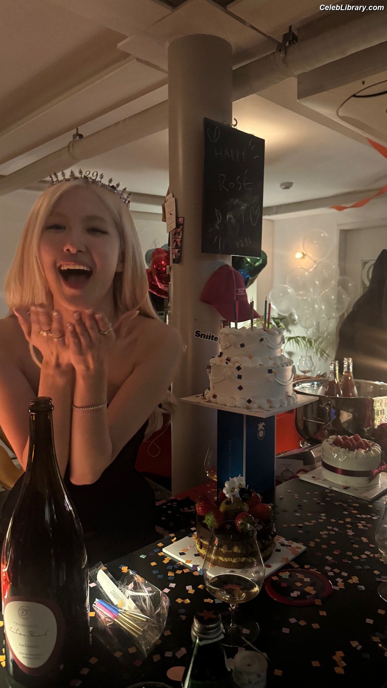 Rosé (BLACKPINK) photo 11 of 4338