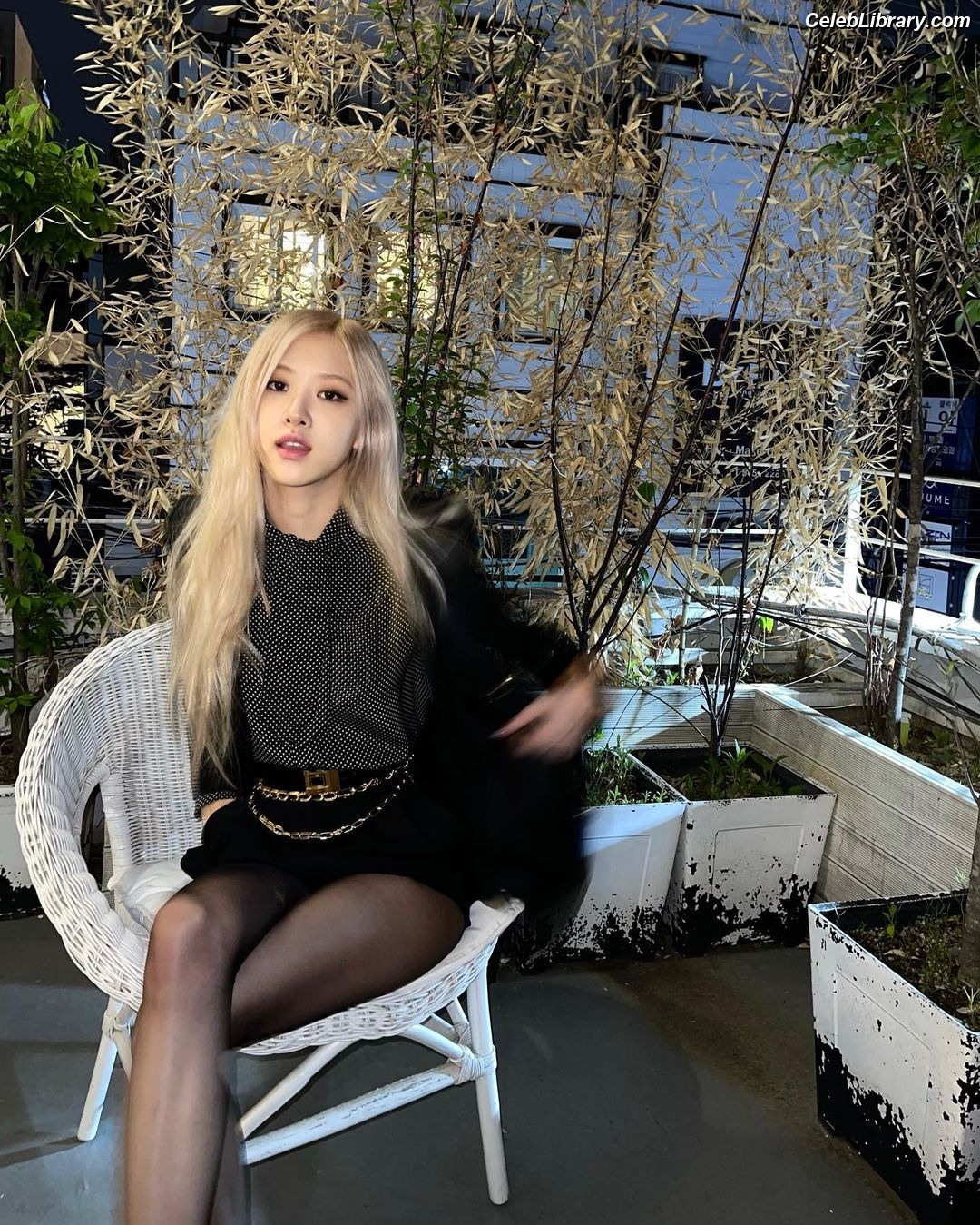 Rosé (BLACKPINK) photo 21 of 4338