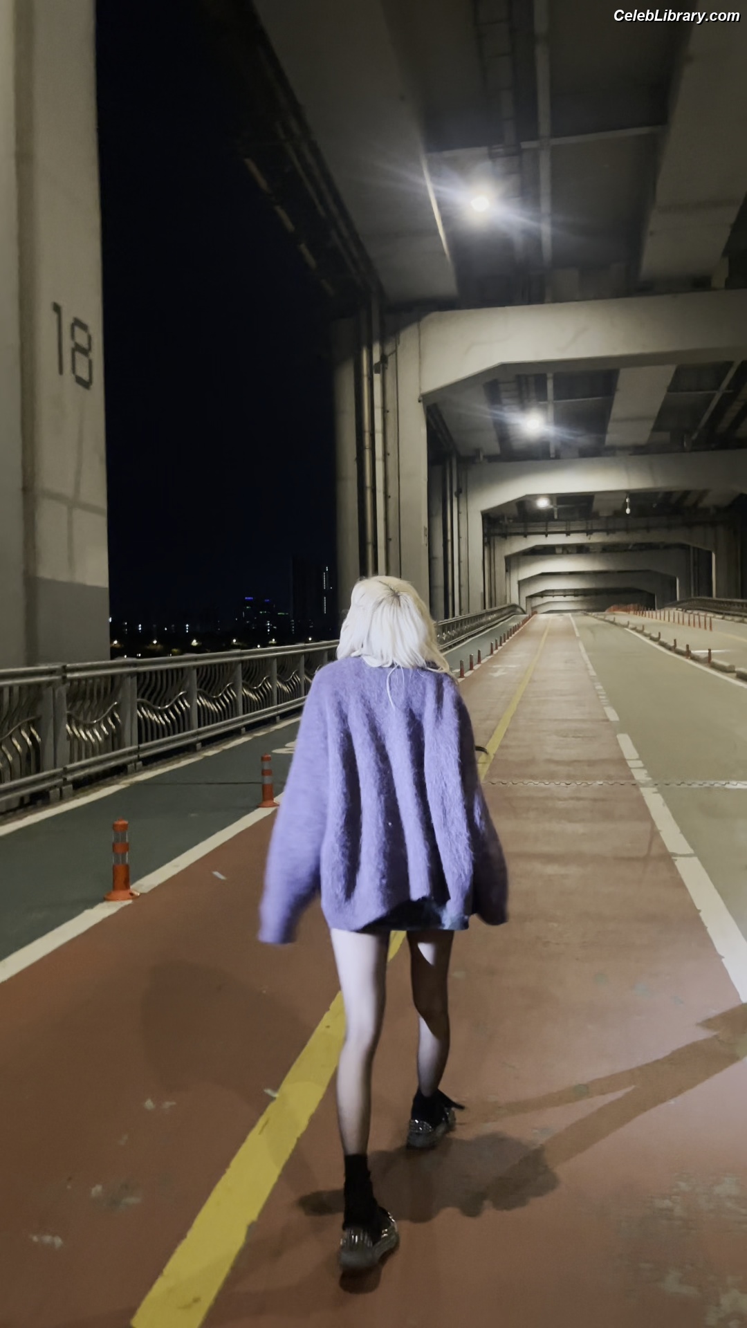 Rosé (BLACKPINK) photo 14 of 4338