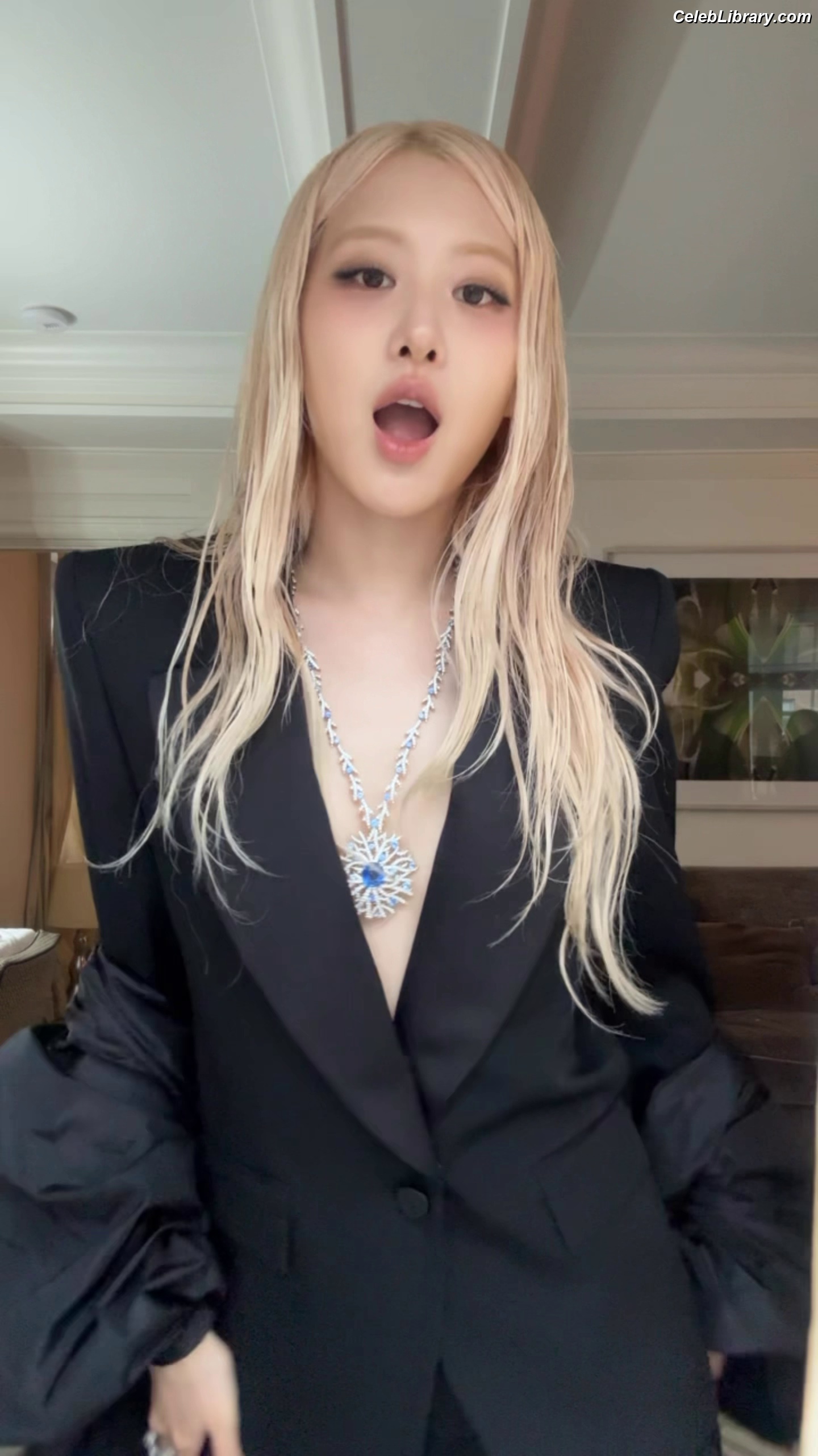 Rosé (BLACKPINK) photo 3 of 4338
