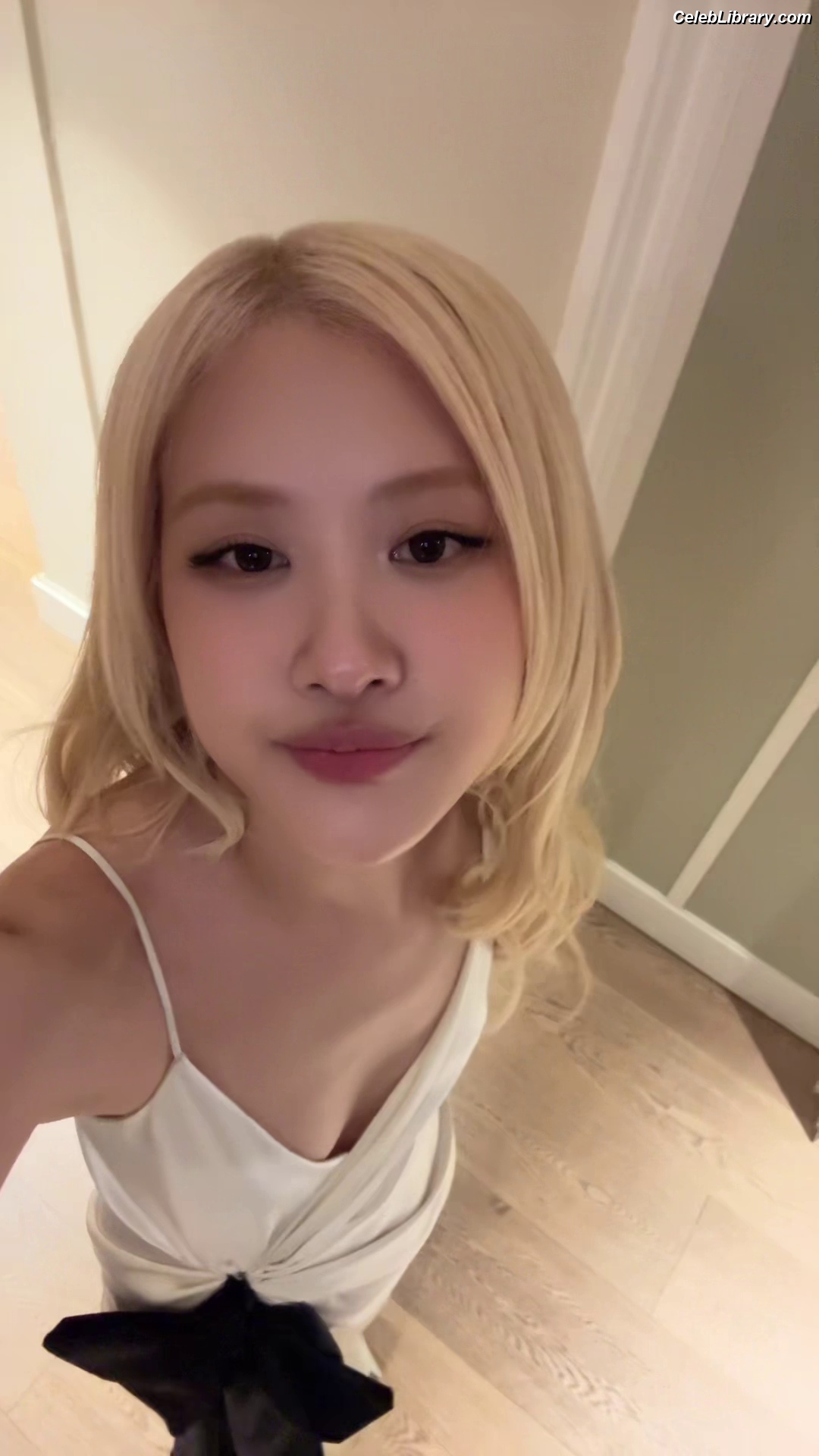 Rosé (BLACKPINK) photo 17 of 4338