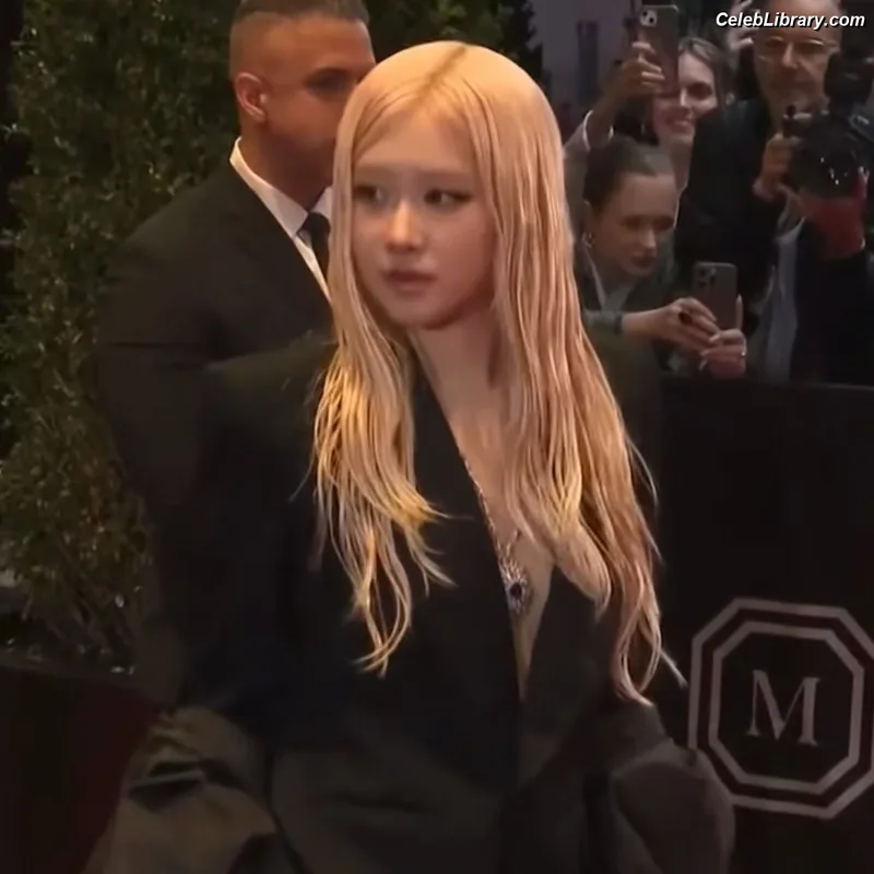 Rosé (BLACKPINK) photo 23 of 4338